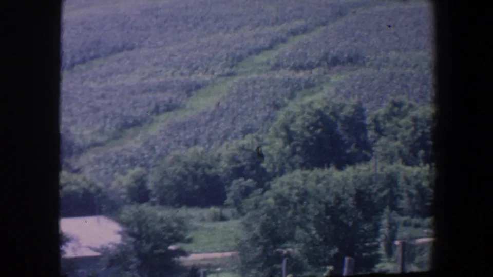 1959 Iowa 8mm frame with broad green fields, brushy tree lines, and a small roof at the lower edge.