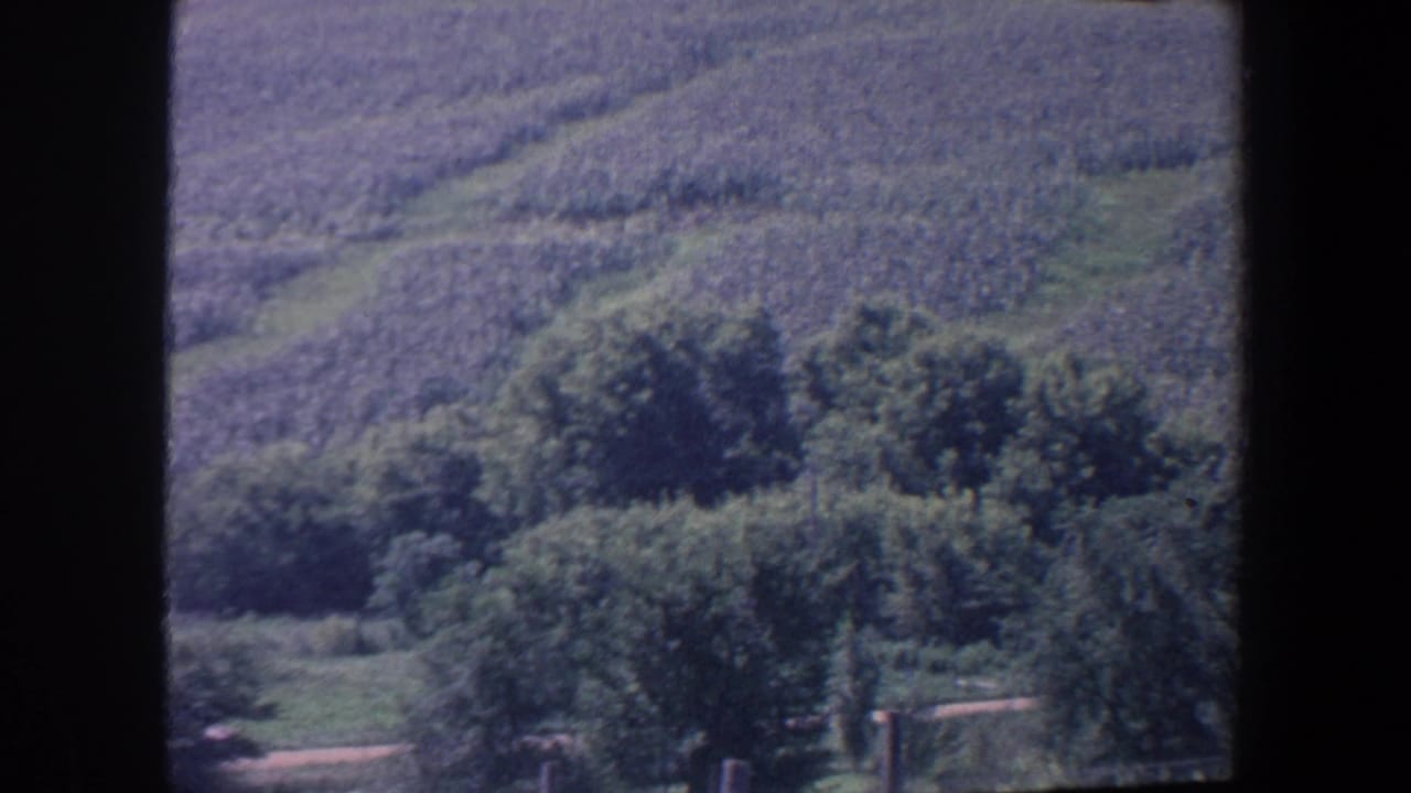 1959 Iowa home-movie view of rolling farmland, tree clusters, and a faint path framed by dark film gate edges.