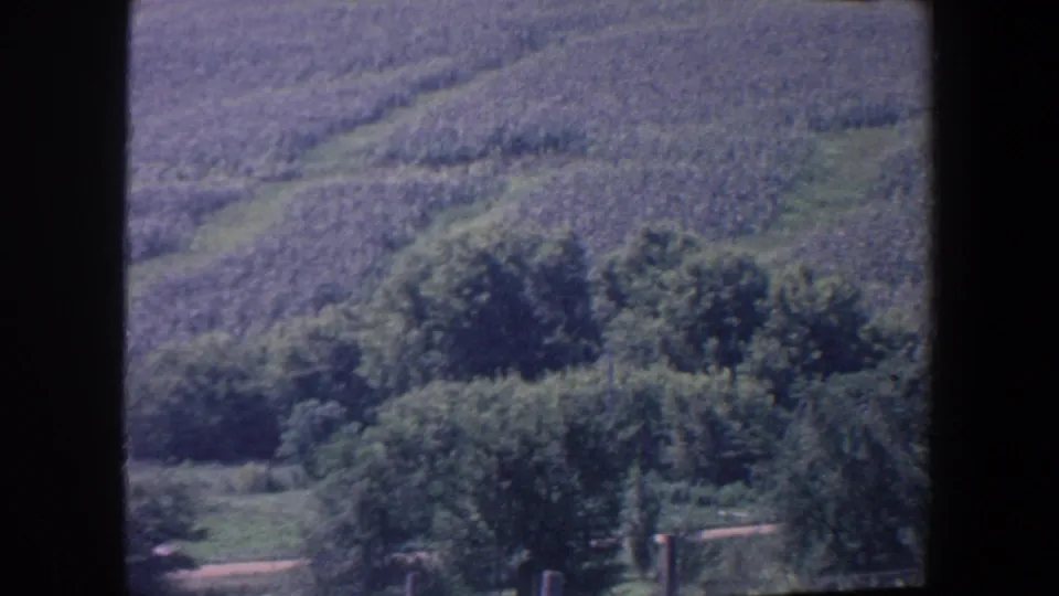 1959 Iowa home-movie view of rolling farmland, tree clusters, and a faint path framed by dark film gate edges.