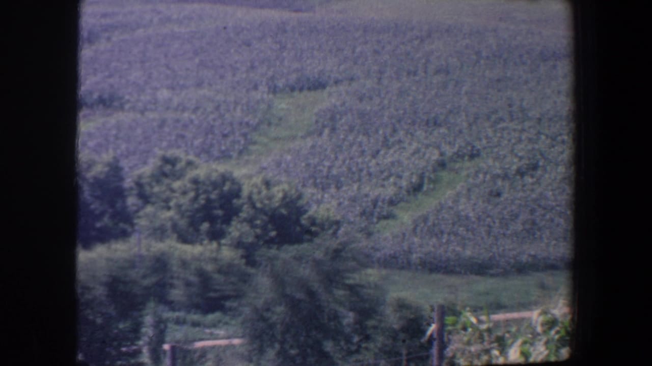 Crop fields, trees, and foreground vegetation within a dark film border.