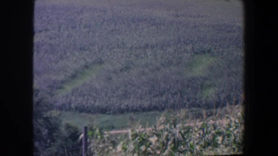 1959 Iowa home-movie frame showing foreground corn, distant cultivated fields, and muted 8mm grain.