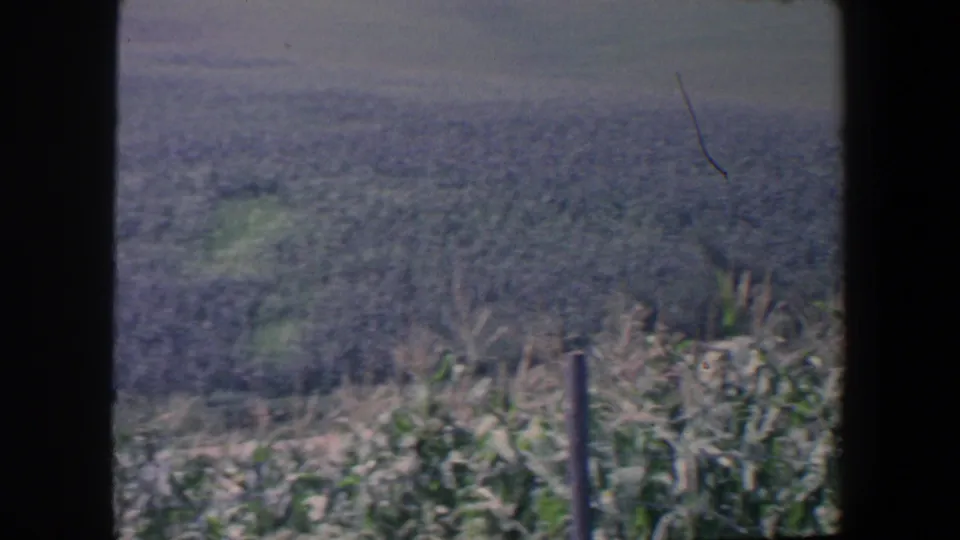 1959 Iowa farmland view with foreground corn, a fence post, distant crops, and a visible scratch or hair on the film image.