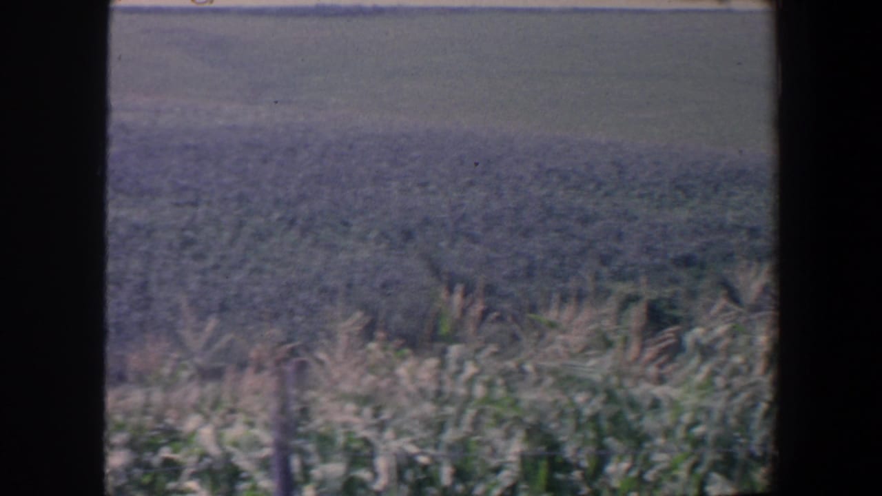 1959 Iowa 8mm frame showing tall field growth in the foreground and rolling farmland beyond, with dark gate or viewfinder edges.