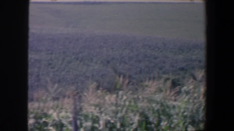1959 Iowa 8mm frame showing tall field growth in the foreground and rolling farmland beyond, with dark gate or viewfinder edges.