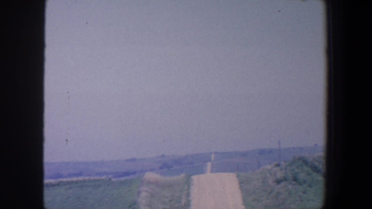 Narrow rural road between fields under a pale sky.