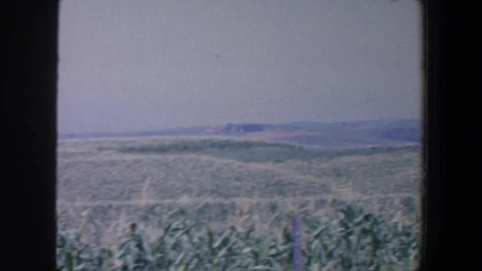 1959 Iowa field scene with dense foreground plants, open rolling land, and low hills visible under a washed pale sky.