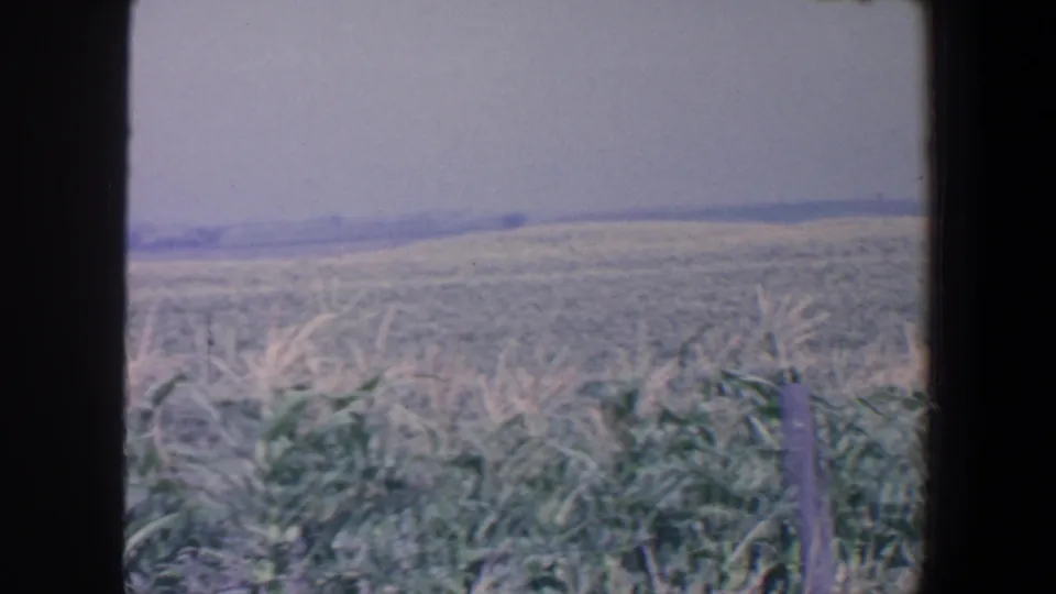 1959 Iowa countryside frame with a wide field, distant low hills, foreground plants, and dark vertical borders around the 8mm view.