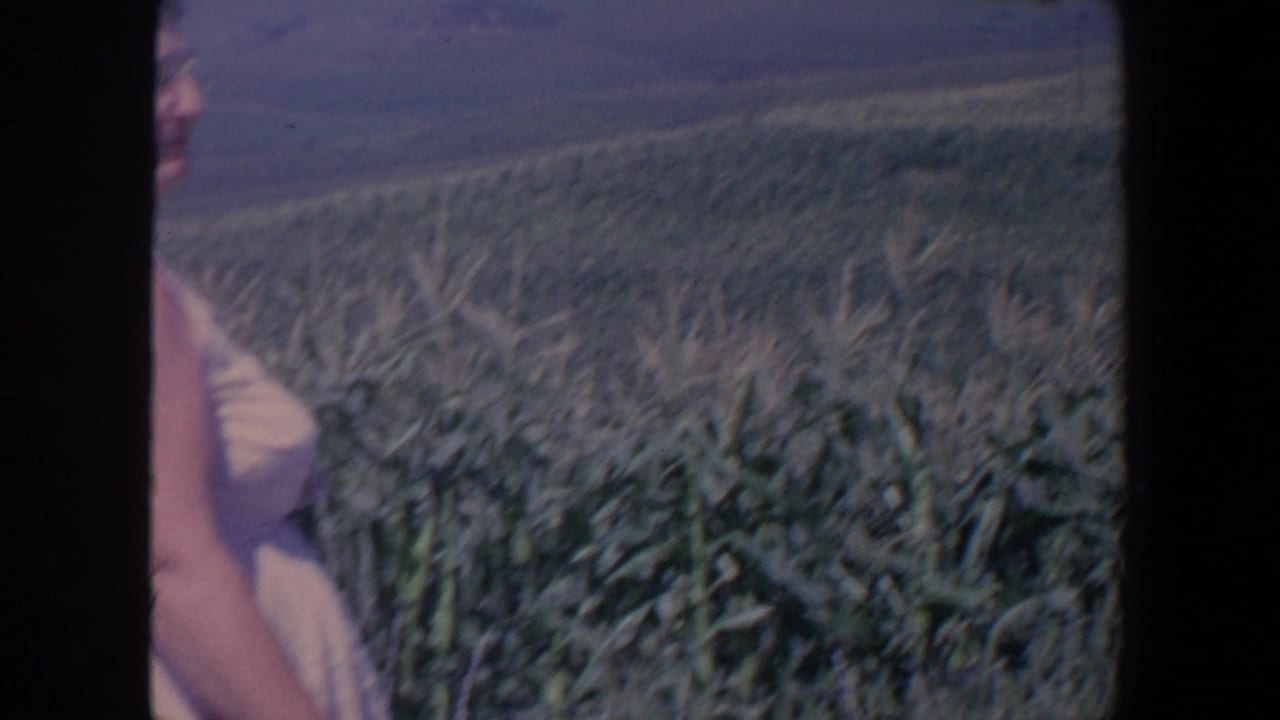 A cropped 1959 Iowa frame shows part of the woman at the edge of a broad cornfield, with rows of corn filling most of the view.