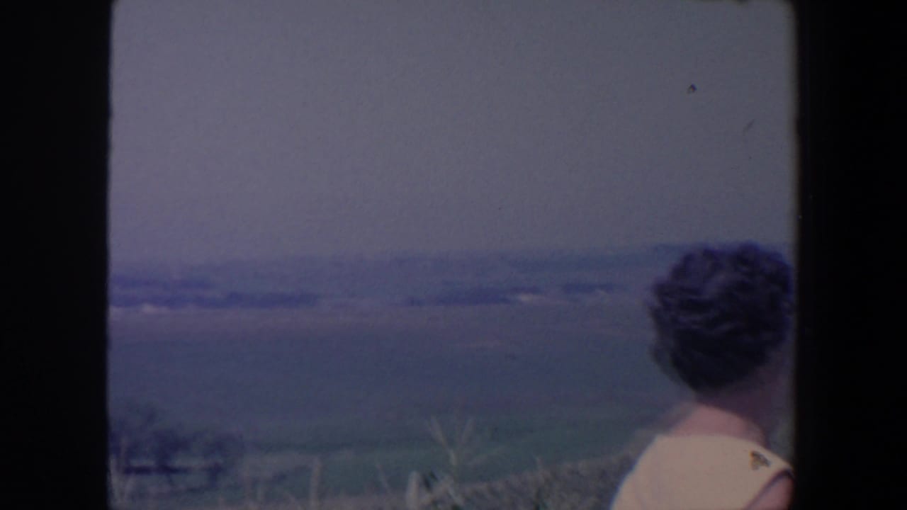 Woman seen from behind looking over rolling farmland and distant tree lines.