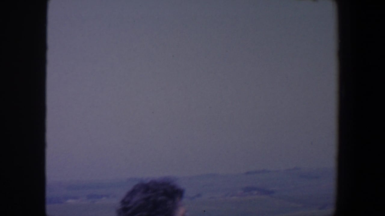 Top of a woman's head at the bottom edge with hazy sky and distant fields beyond.