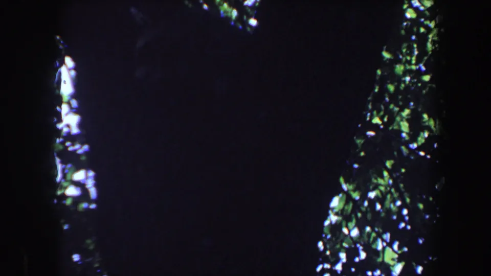 Dark home-movie frame showing tree foliage, bright sky openings, and heavy underexposure after the street view.