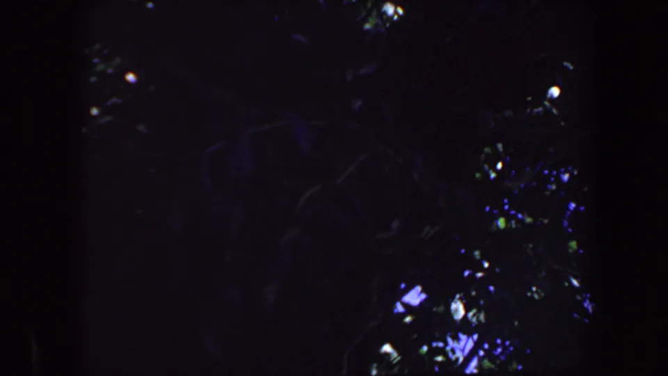 Underexposed 1959 Iowa 8mm frame showing dense foliage, dark tree forms, and small patches of blue-white daylight.