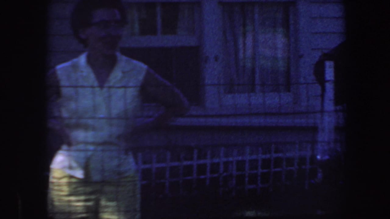 Woman stands near the house behind fencing, partly blurred by the mesh and blue exposure.