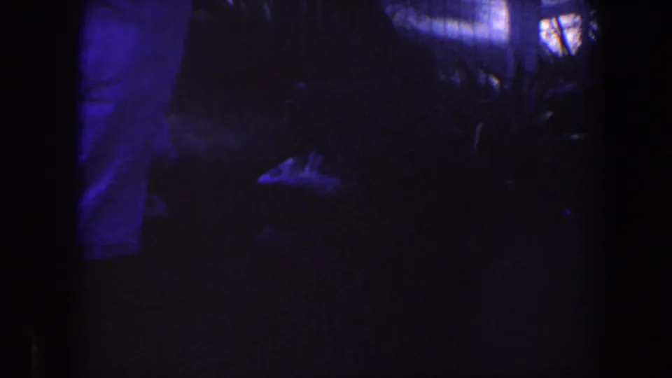 A partially visible adult figure stands near dark foliage in the backyard, with the aged 8mm film showing heavy blue-purple exposure.