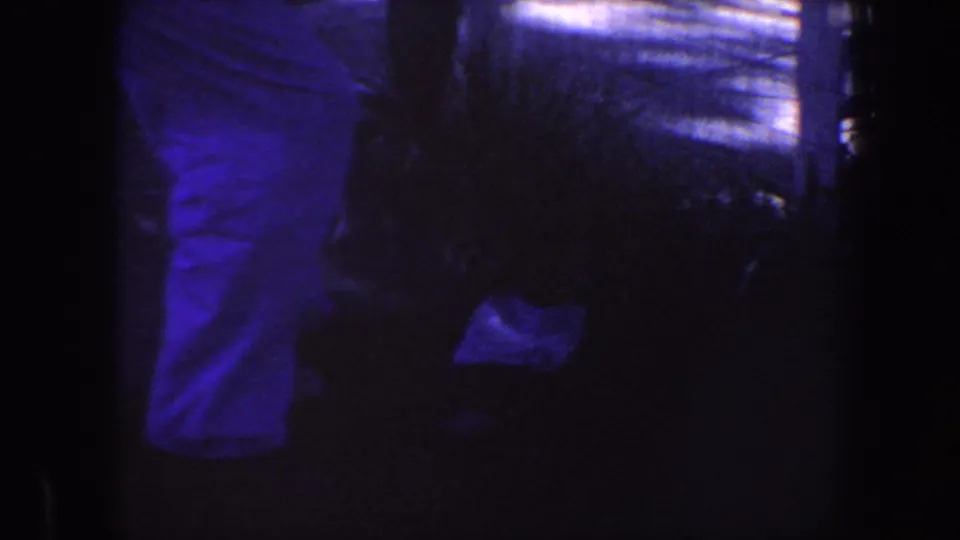 The skunk appears low in the shadowed backyard near foliage and a standing adult's legs in the 1959 Iowa home-movie frame.