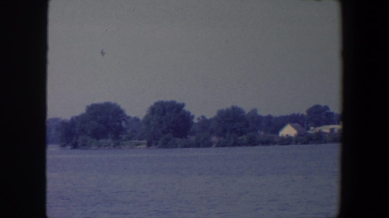 Tree-lined shoreline with a small light-colored house beside the water.