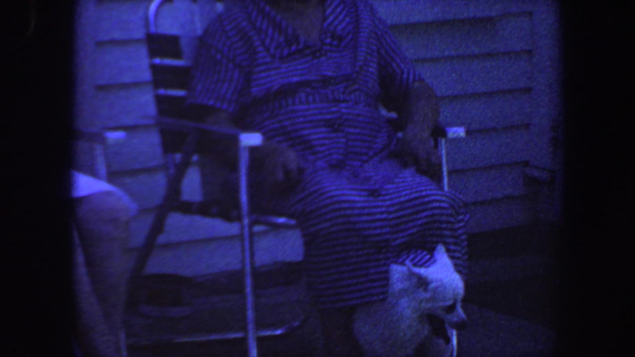 Seated person in a striped dress with a small white dog near their lap on a porch.