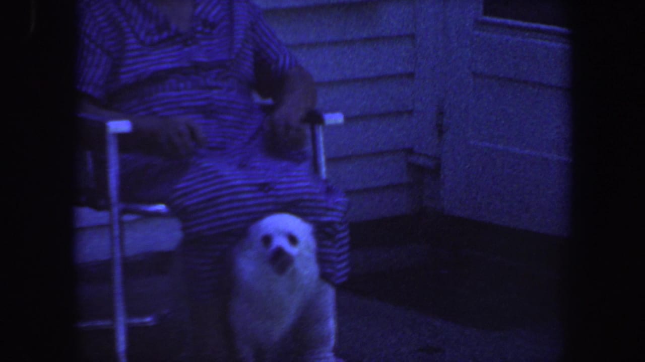 1959 Iowa porch scene with a small white dog looking up beside a seated person in a striped dress and folding chair.
