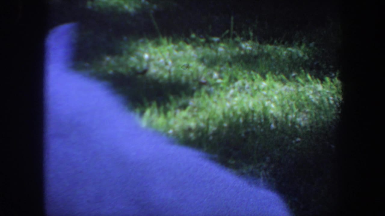 Curving pale walkway beside grass in a shaded yard.