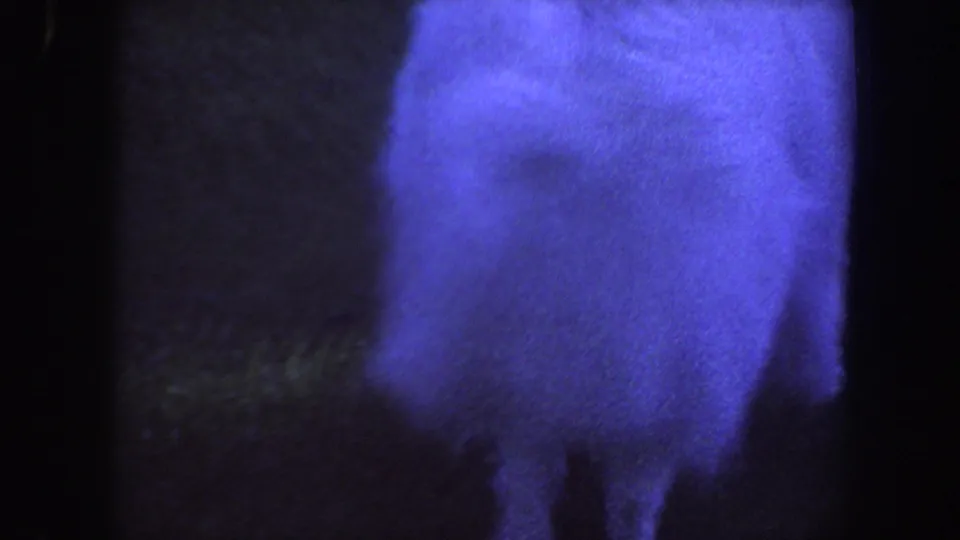 Rear view of the white dog in the grassy yard, partly cropped by the handheld 8mm frame and tinted blue by the film scan.