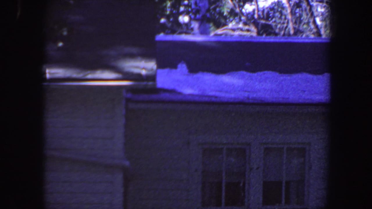 House roof with snow patches and two windows beneath a dark gutter line.