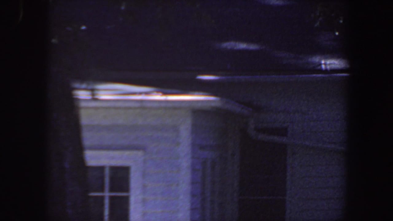White house wall and divided window partly blocked by dark tree trunks at night.