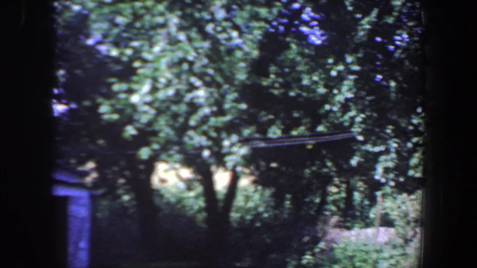 1959 Iowa home-movie frame showing leafy trees and grass, with part of the blue car and house edge at left.