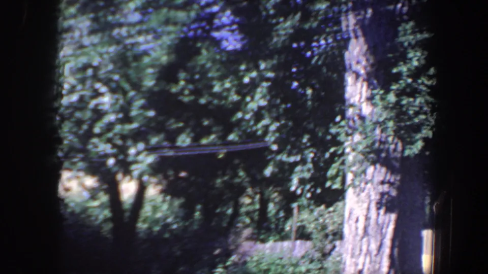 1959 Iowa 8mm frame showing leafy backyard trees, a large trunk, and shaded residential greenery.