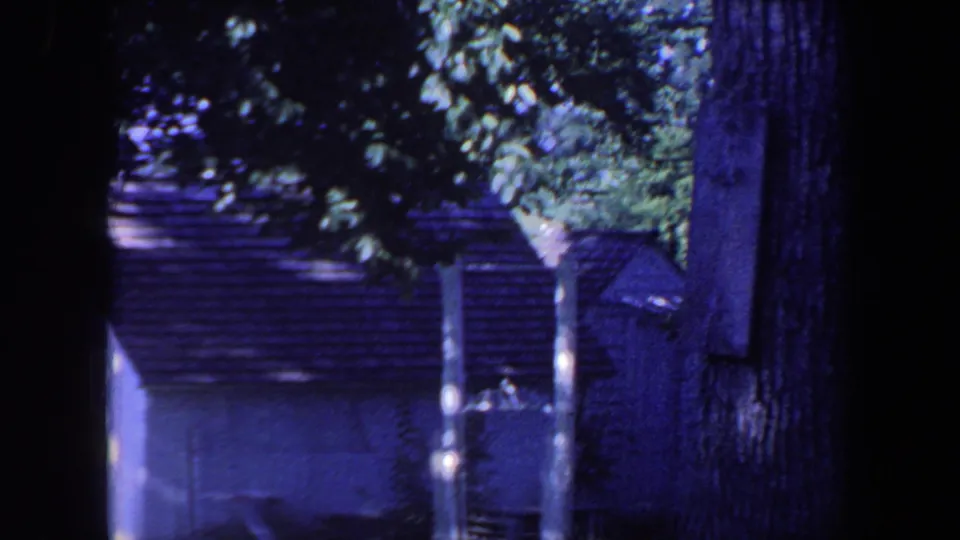 1959 Iowa backyard frame with a large tree trunk, dense leaves, and a small house partly obscured by shade.