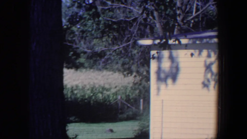 1959 Iowa 8mm frame showing the side of a pale outbuilding, shaded branches, lawn, and tall crops beyond.