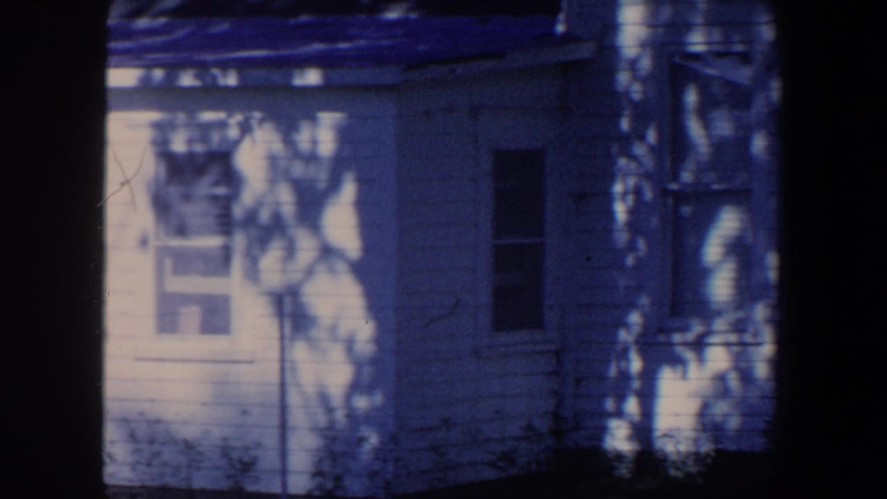 White house wall with windows, siding, and dark tree shadows.