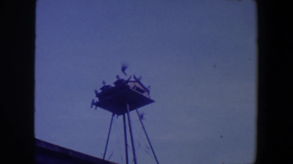 1959 Iowa home-movie frame showing a tall pole-mounted birdhouse or platform structure against open blue sky, with roof edge at the bottom.