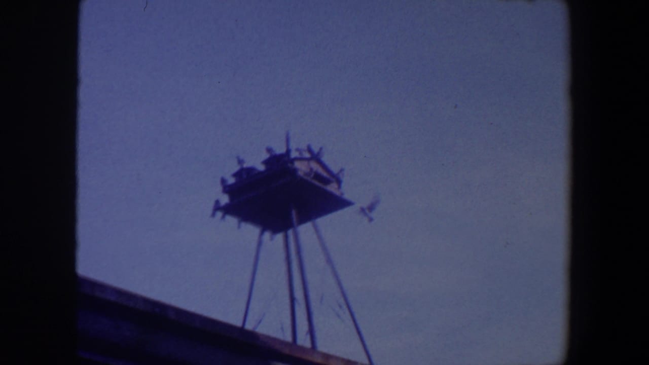 1959 Iowa 8mm frame showing birds gathered on a high wooden platform supported by thin metal legs against a blue sky.