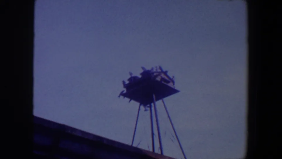 1959 Iowa 8mm frame looking upward at birds on a weathered platform, with metal supports descending into the lower frame.