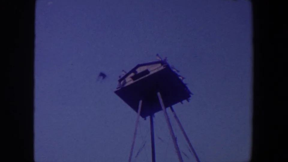 1959 Iowa home-movie frame with a bird flying beside a raised wooden platform and several birds still perched above.