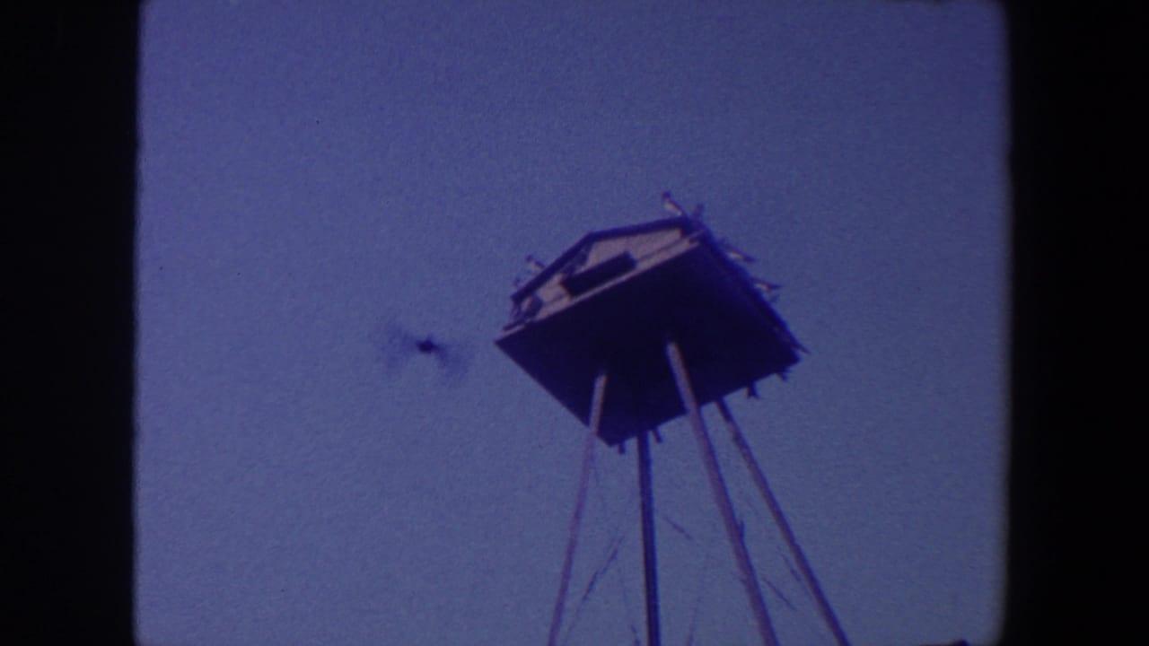 Wooden birdhouse-like structure on a tall pole against blue sky with birds nearby.