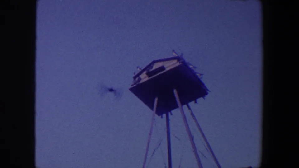 1959 Iowa 8mm frame showing a raised wooden birdhouse-like structure on a pole, with birds perched and flying against a blue sky.