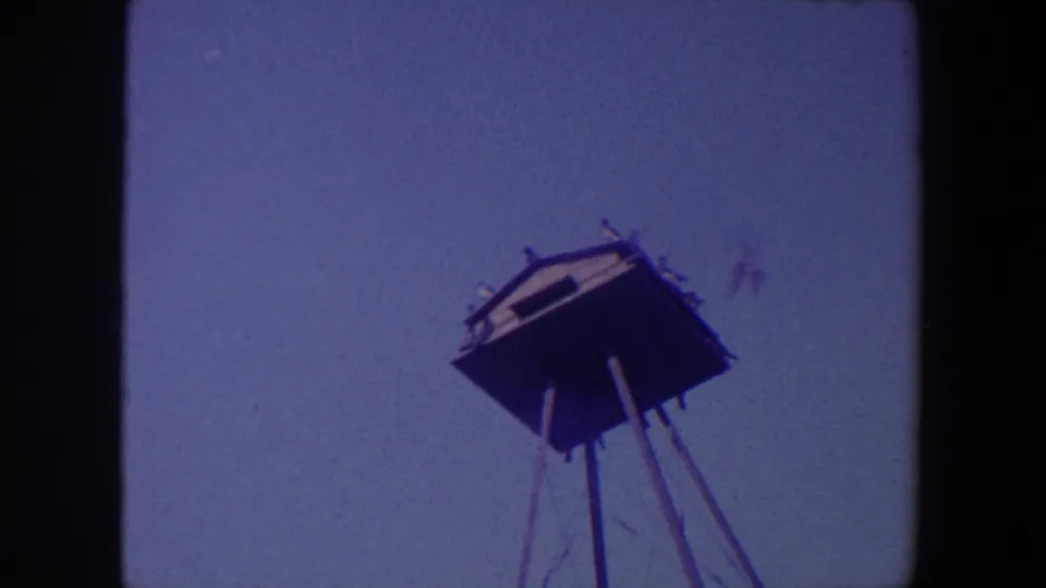 1959 Iowa 8mm frame looking upward at a pole-mounted wooden birdhouse-like structure as birds perch and fly nearby.