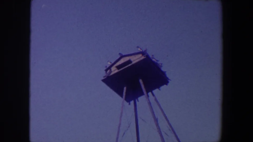 1959 Iowa frame showing the raised wooden structure and pole supports against a blue sky, with small birds visible on the roofline.