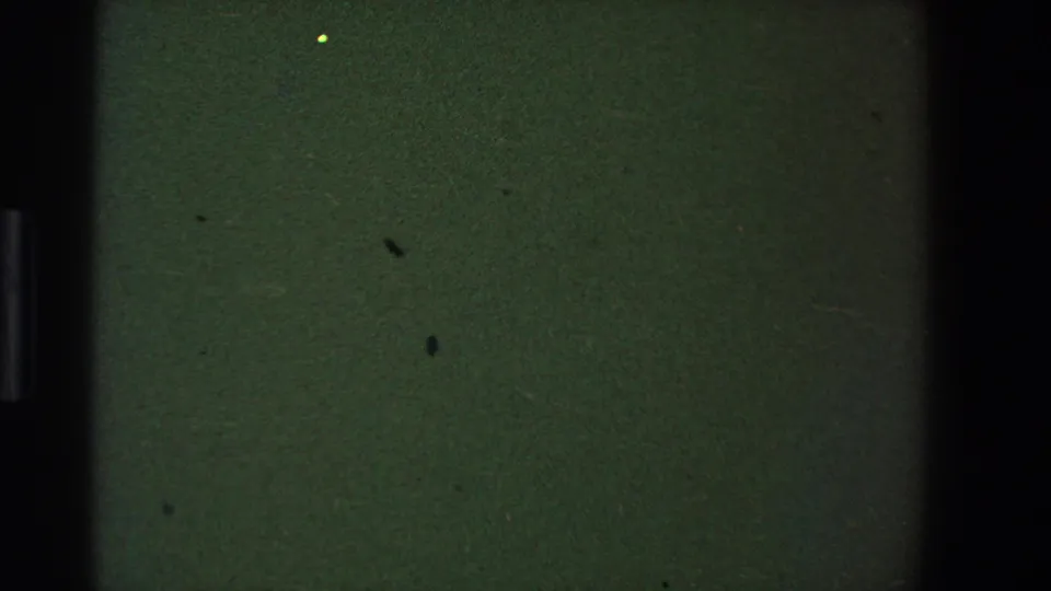 1973 Saint Paul 8mm frame showing a mostly blank dark field with gate bars, grain, dust marks, and a small bright speck.