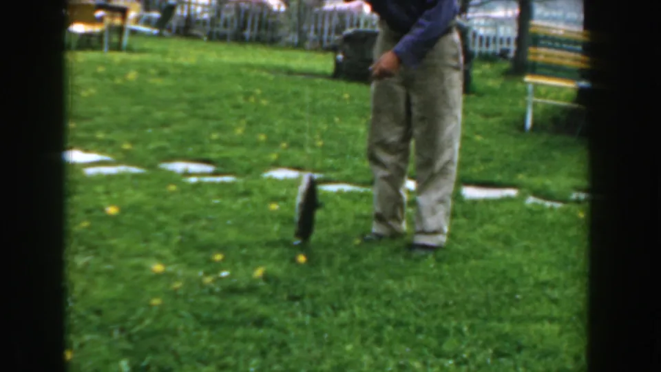 A cropped 8mm frame shows the man's lower body as he stands above the small fish on a green lawn in the Novi home-movie scene.