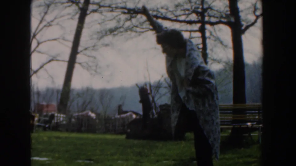 In Novi, Michigan, 1961, a woman in a patterned shawl stands in a grassy park area near a fish line and bare trees.