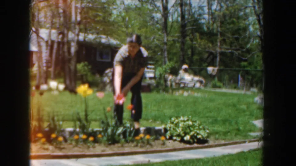 A woman gardens in a sunlit Novi, Michigan backyard in 1961 home-movie footage, with flower beds, lawn, trees, and a small structure behind her.