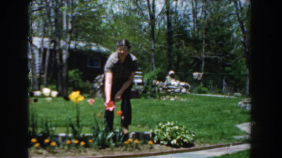The man remains near the flowers in this 1961 Novi backyard view, surrounded by lawn, trees, garden edging, and soft 8mm color.
