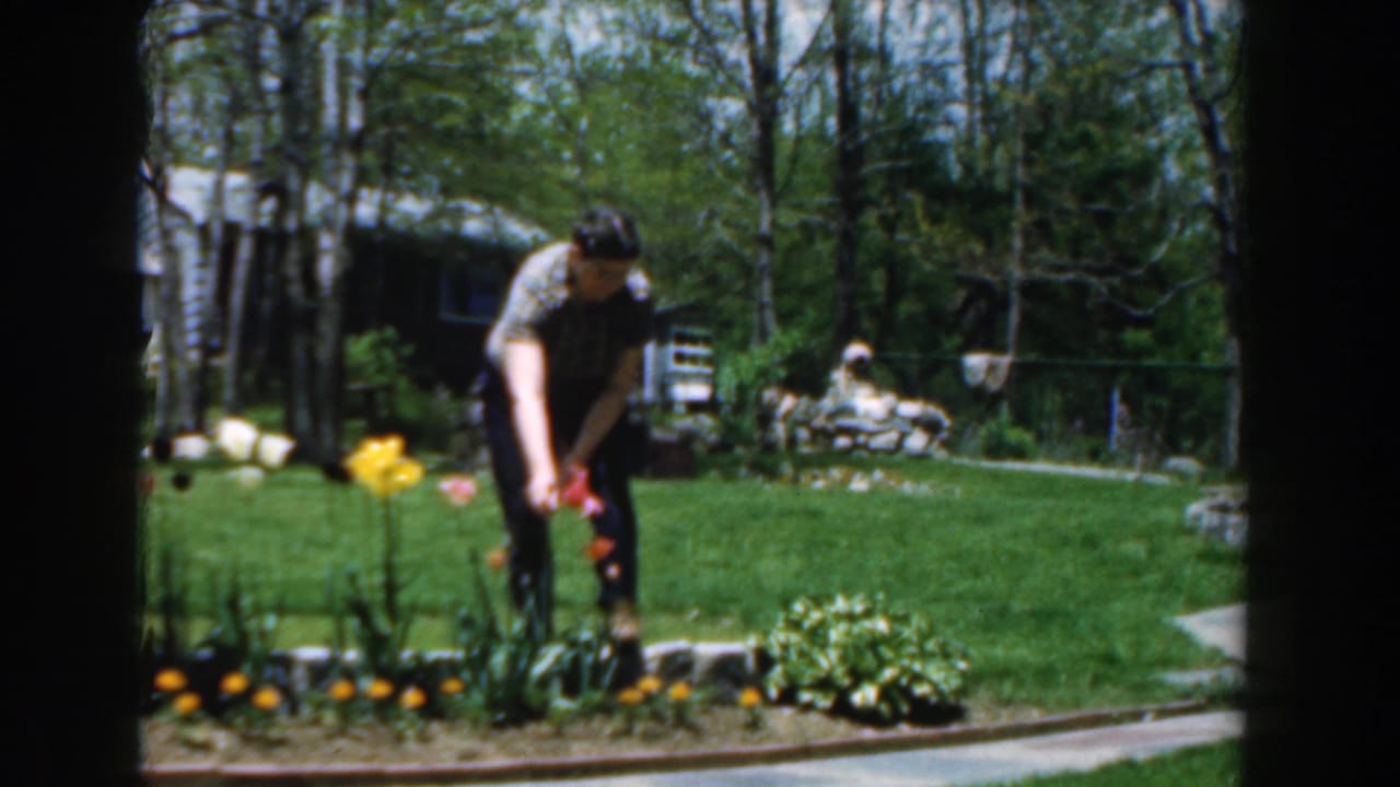 Woman bends over a flower bed in a green backyard, framed by dark window edges.
