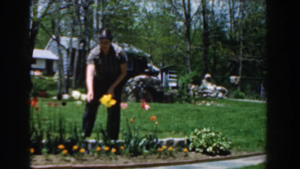 A woman in dark pants and a patterned shirt tends a spring flower border in Novi, Michigan, with lawn and trees in the background.
