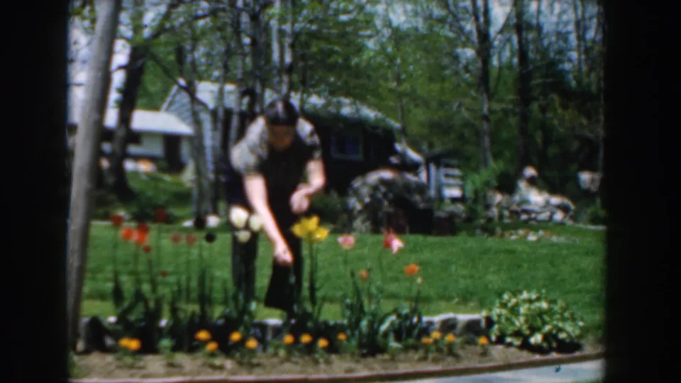 The final frame shows the woman bending toward tulips in the 1961 Novi backyard, with a curved path, lawn, and trees visible.