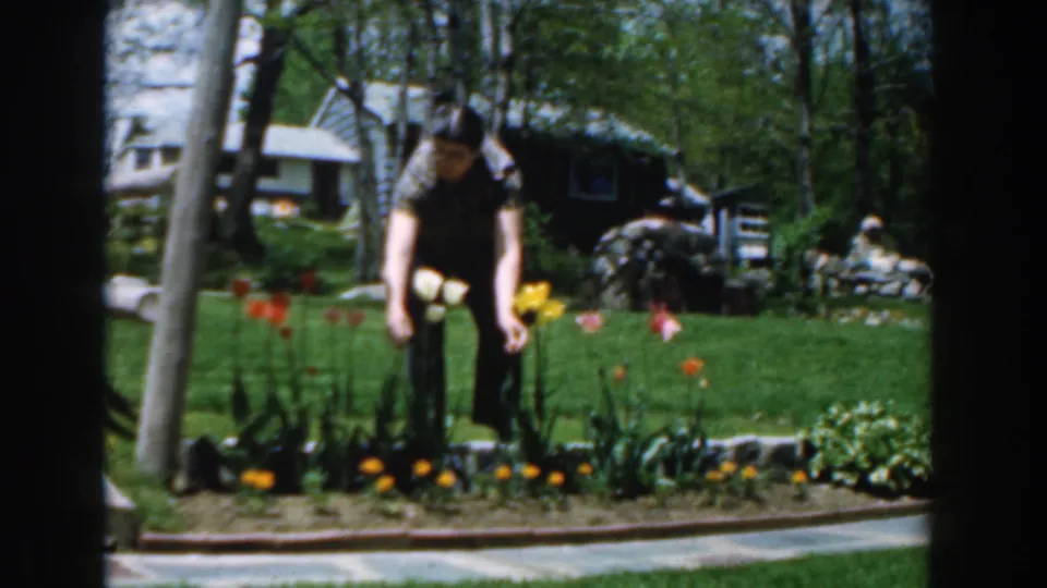 A 1961 Novi home-movie frame shows the man bent over the garden near a walkway, surrounded by spring flowers, lawn, trees, and a house exterior.