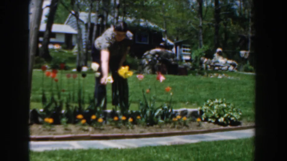 In the 1961 Novi yard scene, a man tends tulips while a distant seated figure is visible near a stone-bordered area.