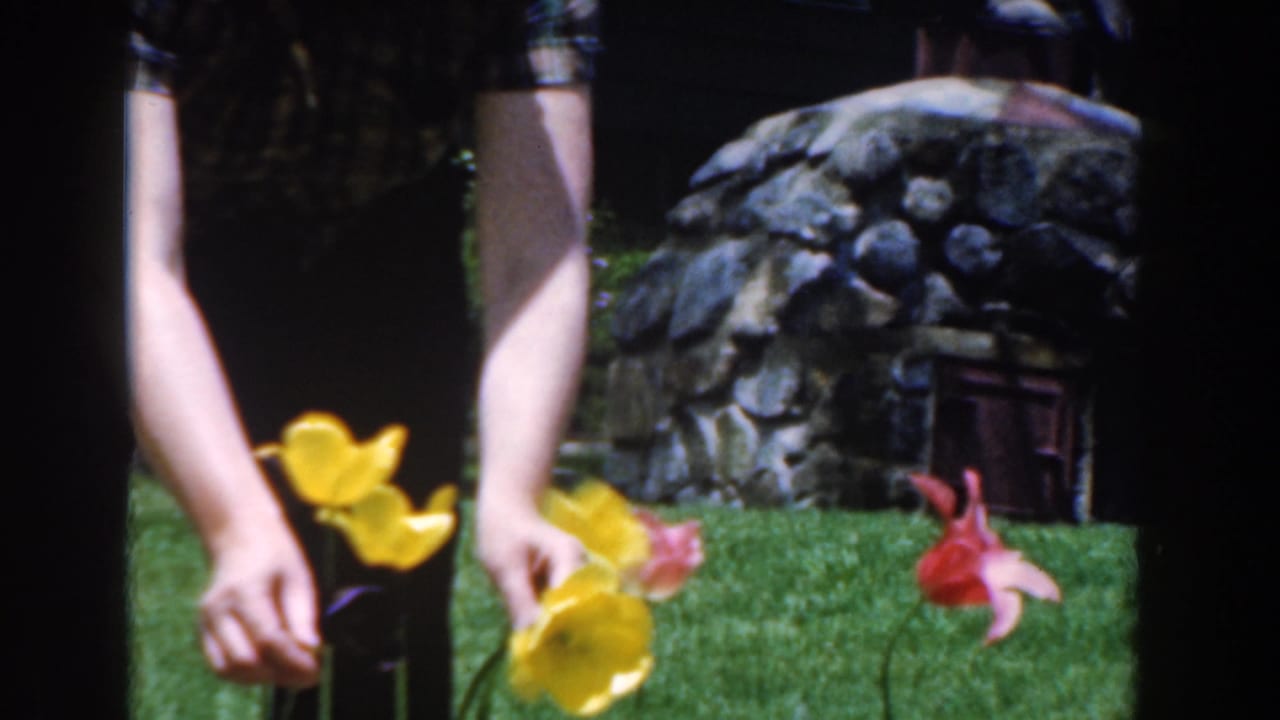 Woman bends over colorful flowers on a green lawn with a stone feature behind her.